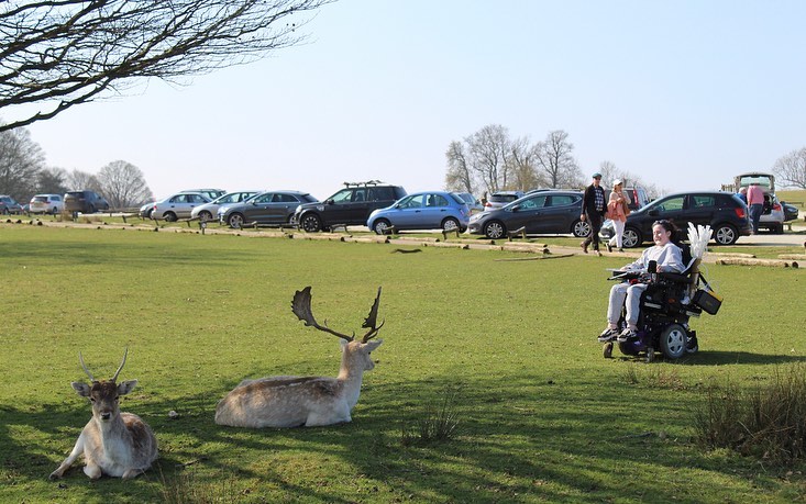 Accessible visit to Knole Park